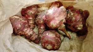 Beautiful Jerusalem Artichokes