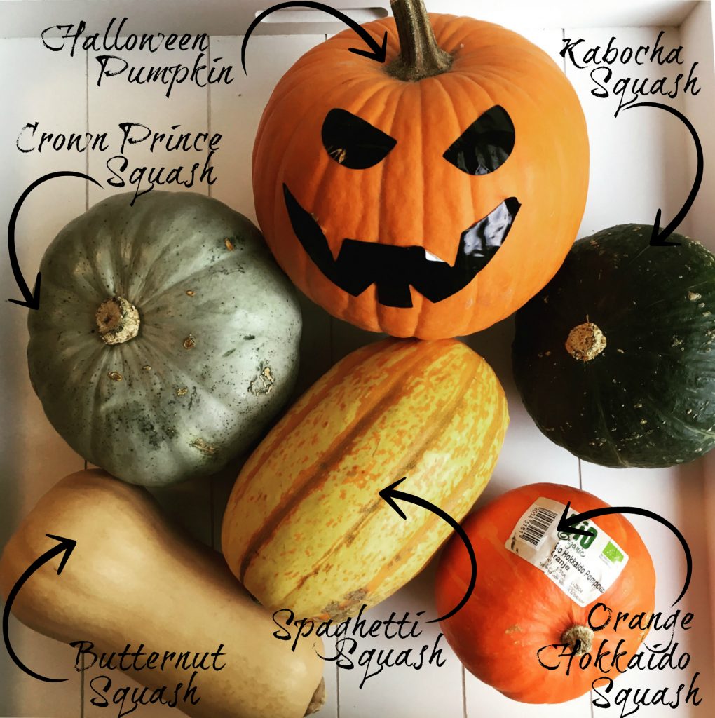 6 types of pumpkins :) - what is your favorite kind??