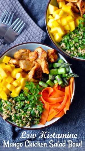 Low Histamine Mango Chicken Salad Bowl - The Histamine Friendly Kitchen