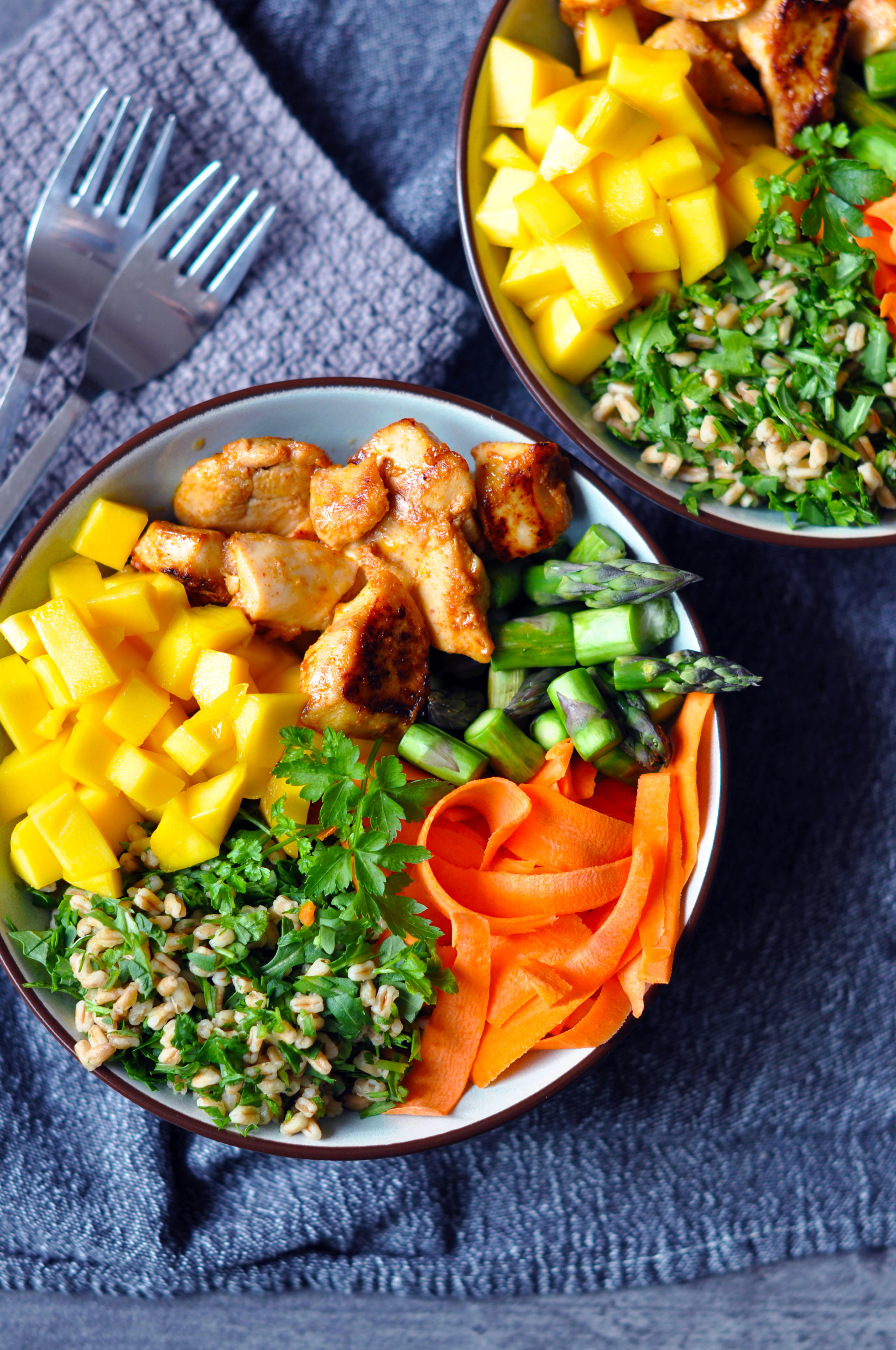 Low Histamine Mango Chicken Salad Bowl - The Histamine Friendly Kitchen