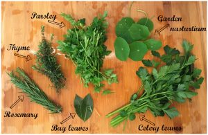 Garden Herbs for my Low Histamine Vegetable Stock Recipe